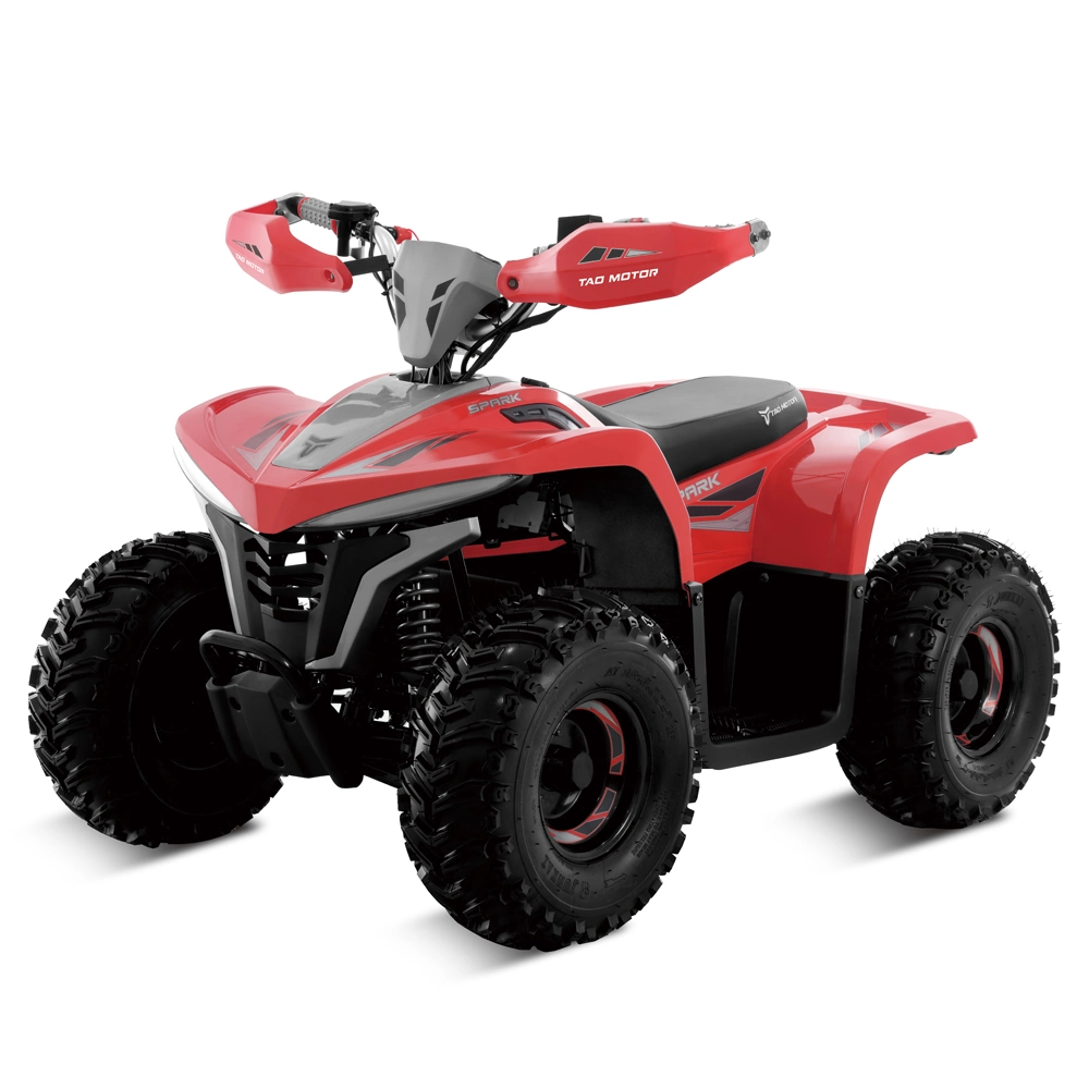 Vélo électrique VTT quatre Wheeler ATVs électrique Quad