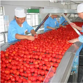 Pasta de tomate en conserva de calidad superior