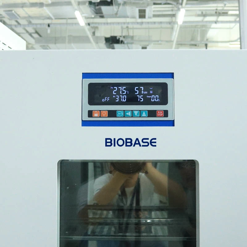 Biobase Cold-Rolled Steel laboratoire utilisé incubateur du moule