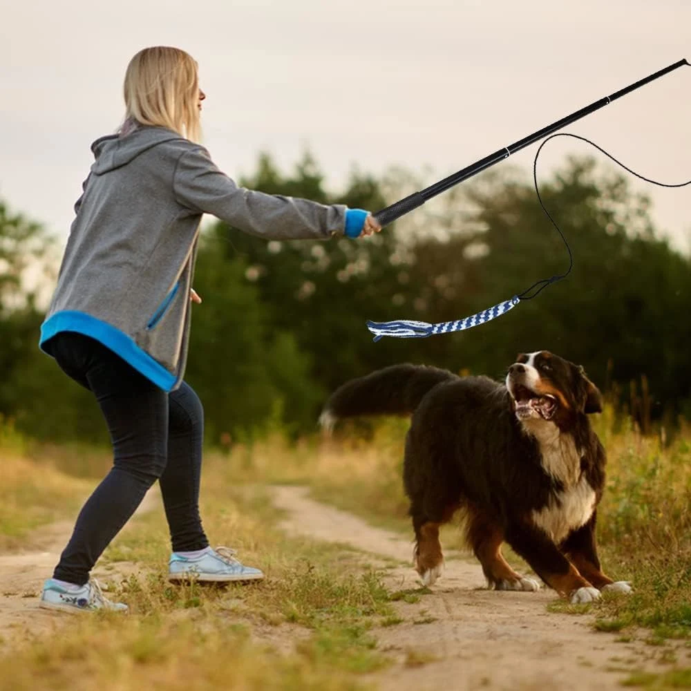 Polo extensible 2 tamaños Interactivo Flirt para mascotas Perros