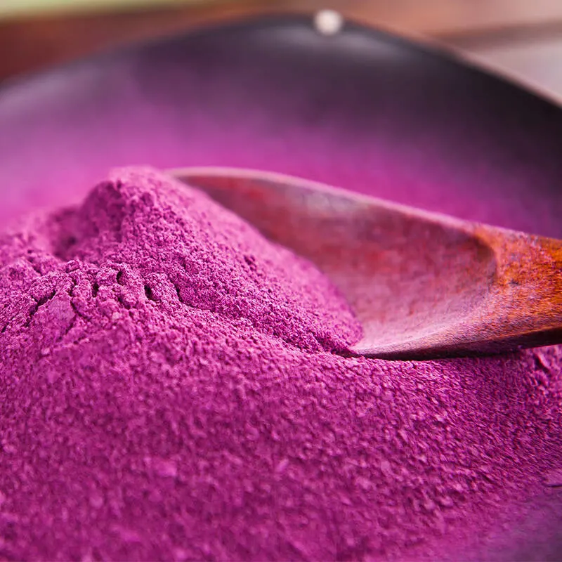 Polvo vegetal polvo de patata dulce púrpura