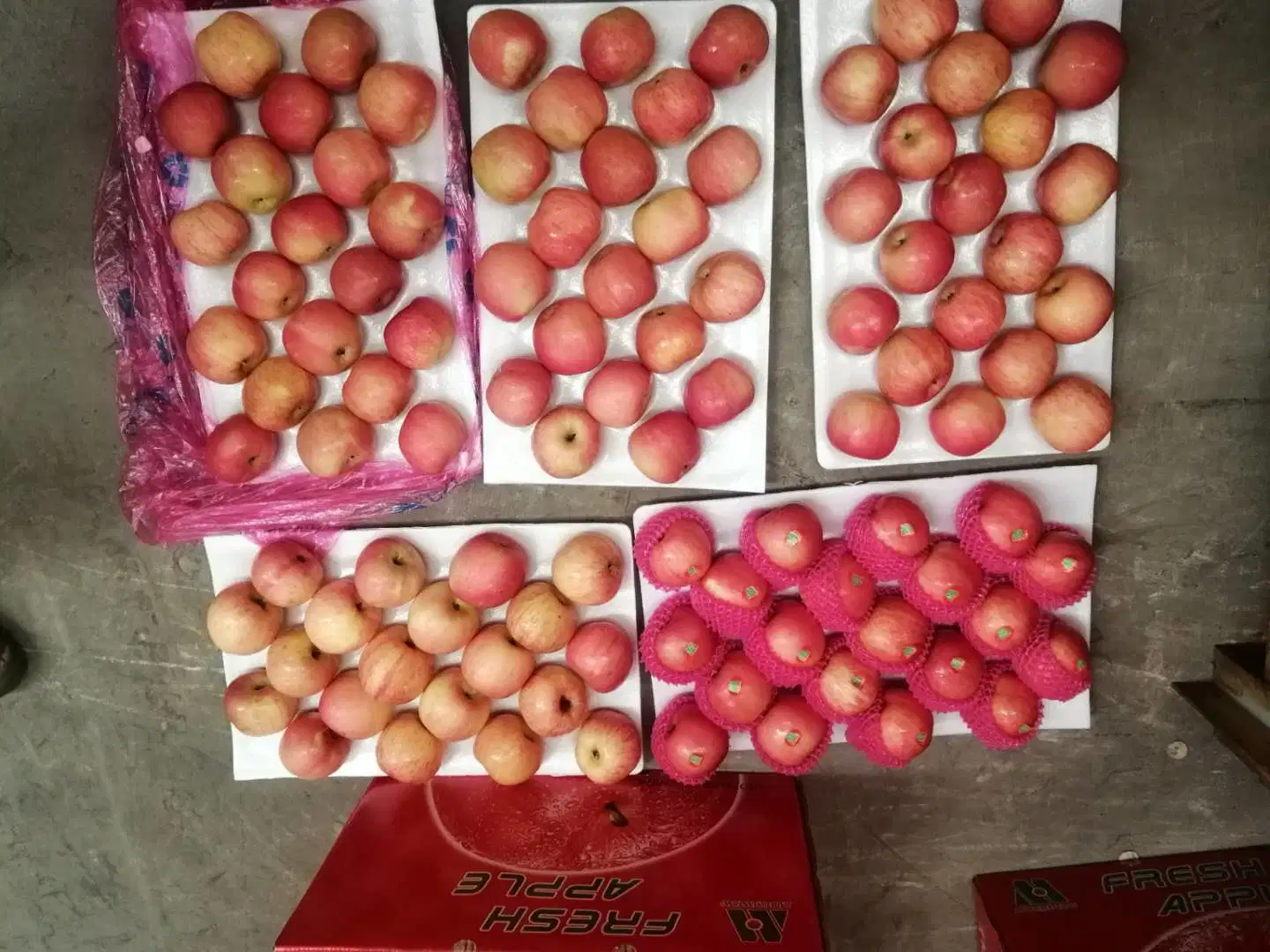 Rojo dulce de manzana Fuji