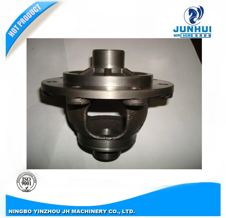 Customzied Iron Die Casting Auto Differential Used for Car Industry Made by ISO Certified Factory