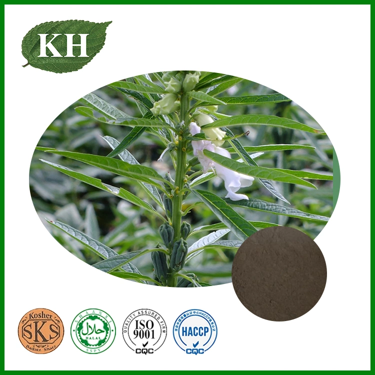 Top Quality Sesame Seed Extract Sesamin 60%~98% HPLC