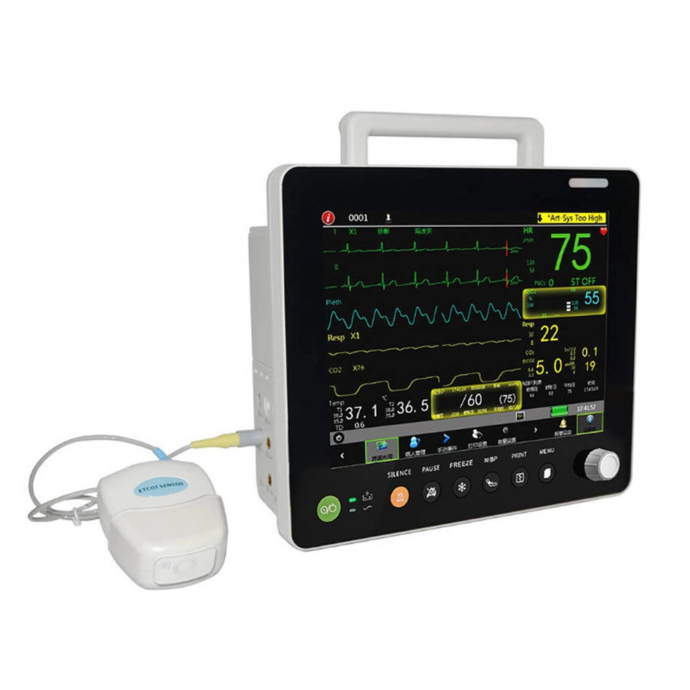 Tft Etco2 Blood Pressure Vital Signs Vet Monitor Multi-parameter Veterinary Monitor