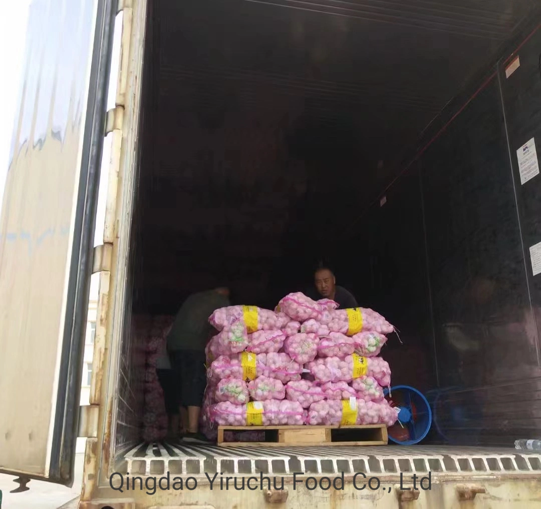 Direct Supply From Chinese Origin, High-Quality Garlic