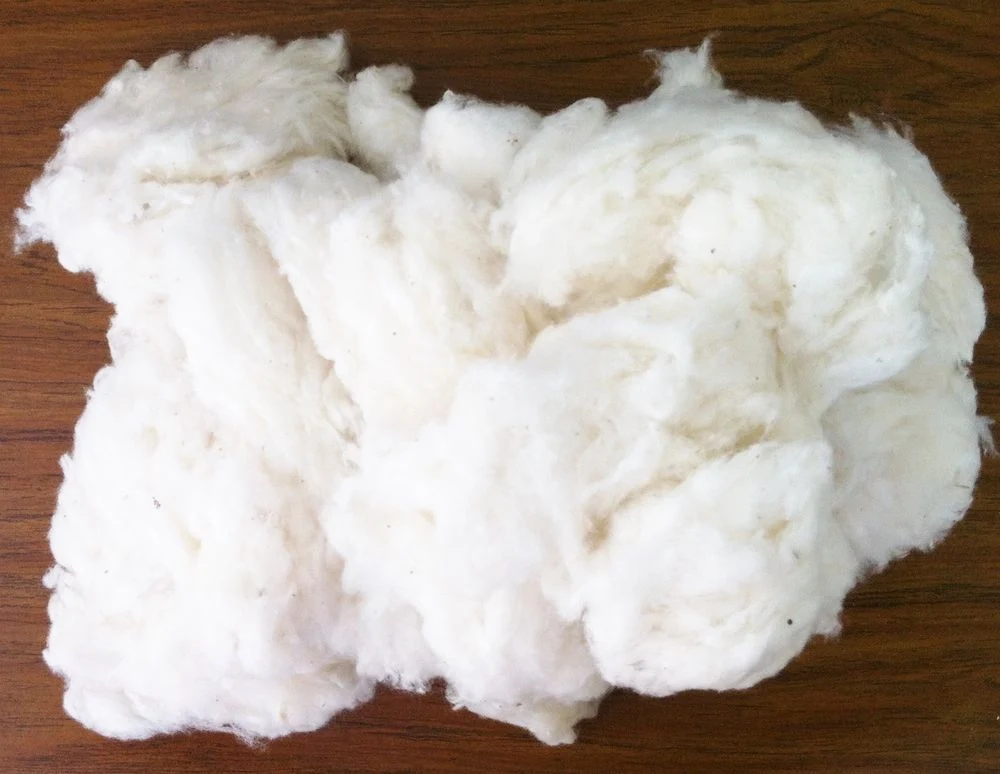 Fibre de coton biologique brute - couleur naturelle