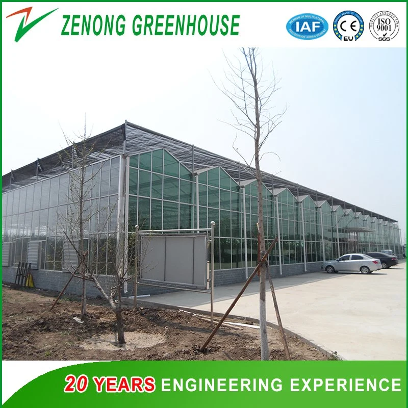 High Quality Factory Wholesale Gutter Connected Glass Greenhouse for Sale