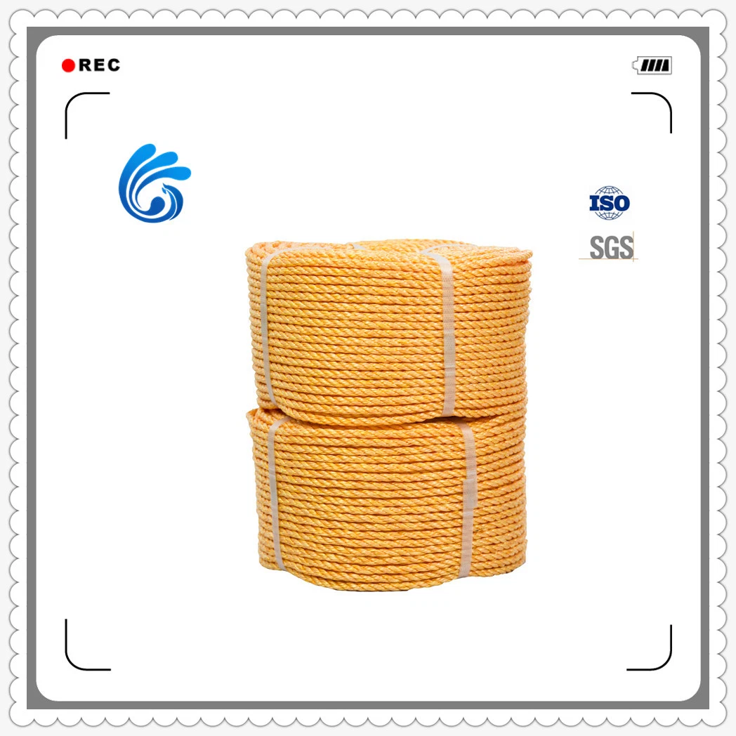 Customized Twisted PE Twine with High quality/High cost performance  and Competitive Price