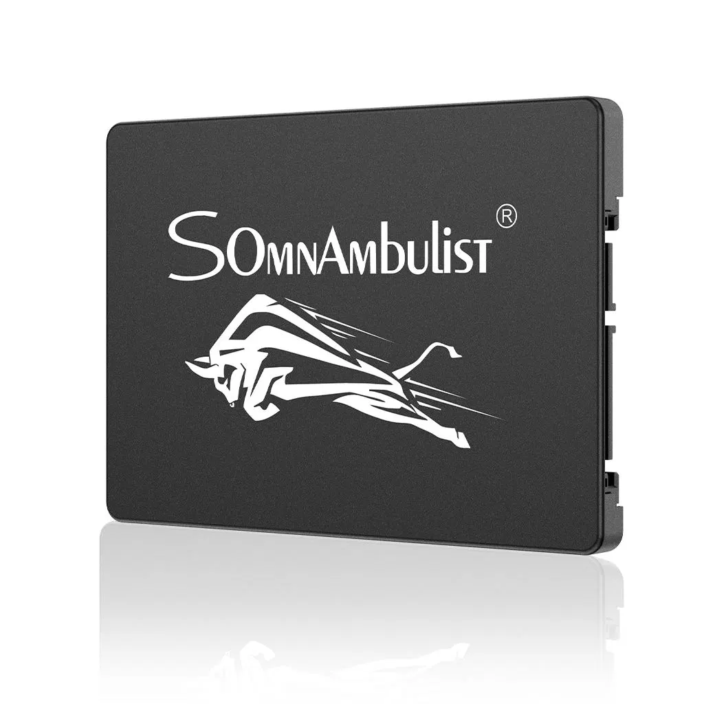 Somnambulist Gjs08 SSD 128 g 240 Go 480 Go 2 to 2.5 SSD SATA Disque SSD de 60 Go