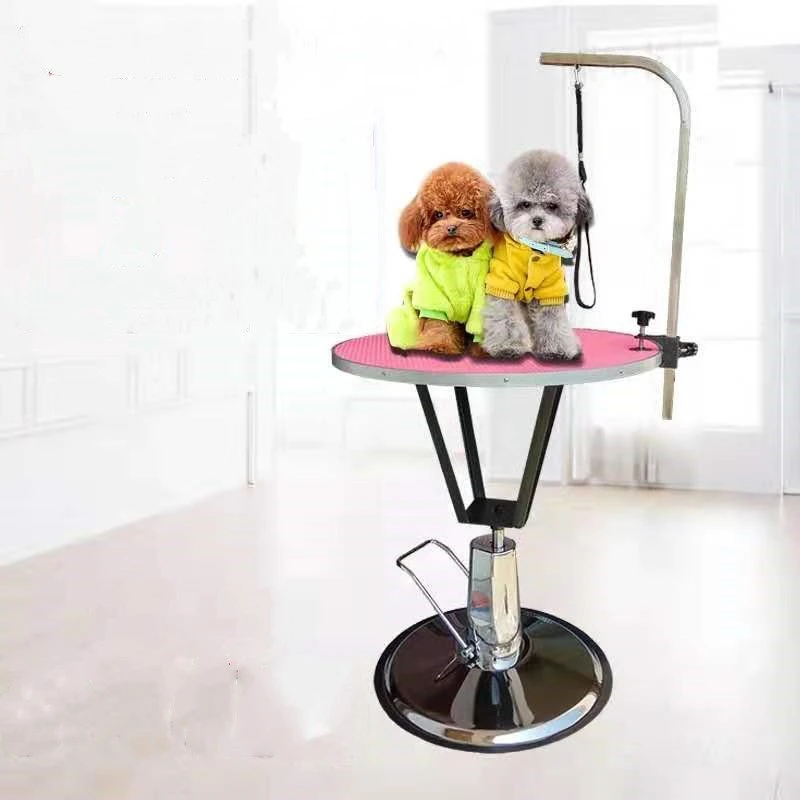 Chinese Manufacture Hot Sale Hydraulic Lifting Vet Folded Pet Grooming Table for Small Animals