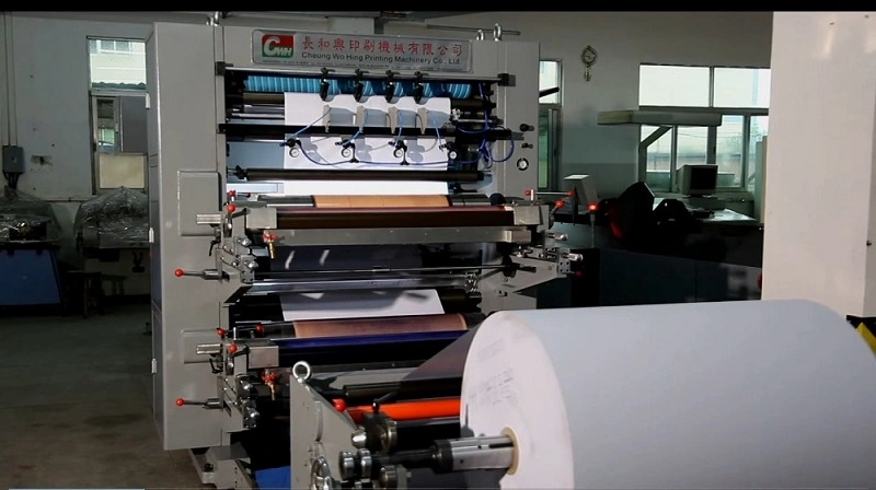 (2+2) Afp-1060 Automatic Flexo Printing Machine