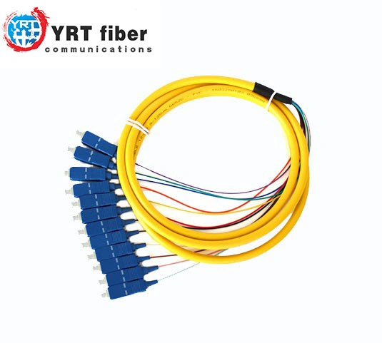 12 Cores Bundle Pigtail Sc/Upc Outdoor Armored Fiber Optic Patch Cord FTTH