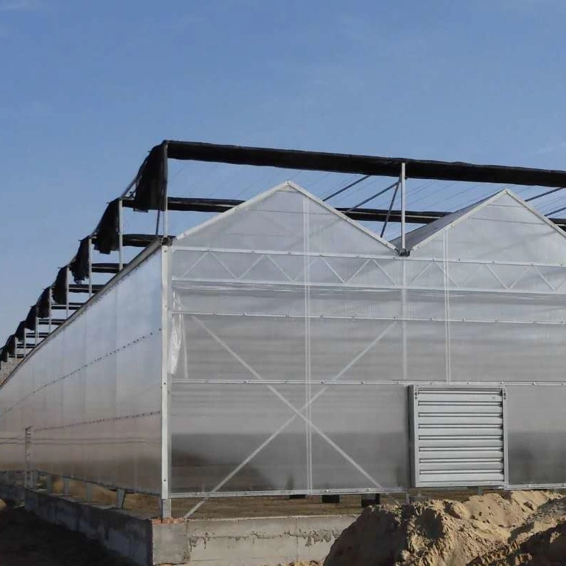 Building Materials/ PC Greenhouse/Polycarbonate Sheet/