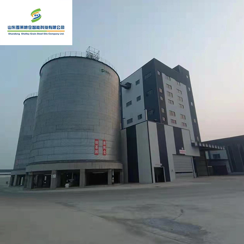 Shelley 1 Ton Grain Bin China Steel Silo Manufacturers 9000t Flat Bottom Wheat Steel Silos Automatic Silos