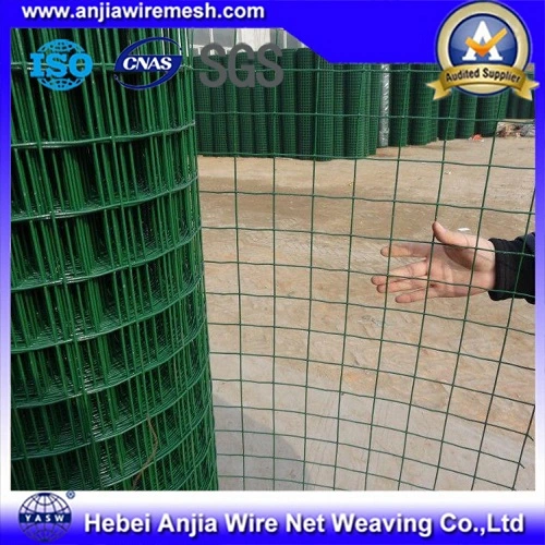 Electro Galvanized Holland Welded Wire Mesh Fence for Construction with SGS