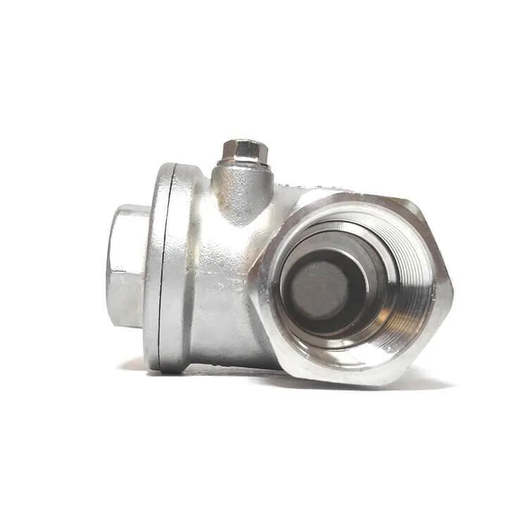 Stainless Steel Threaded Straight Through Horizontal Check Valve Clack One-Way Drain Valve