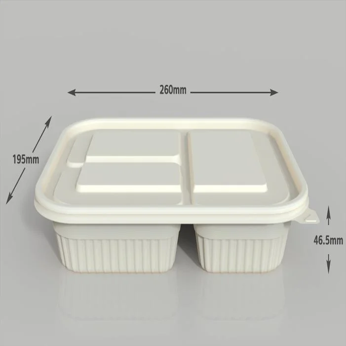 Environmentally Friendly Lunch Food Container Disposable 3 Boxes Disposable Food Container