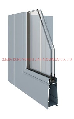 Aluminum Side-Hung Door with Double-Pack Glass