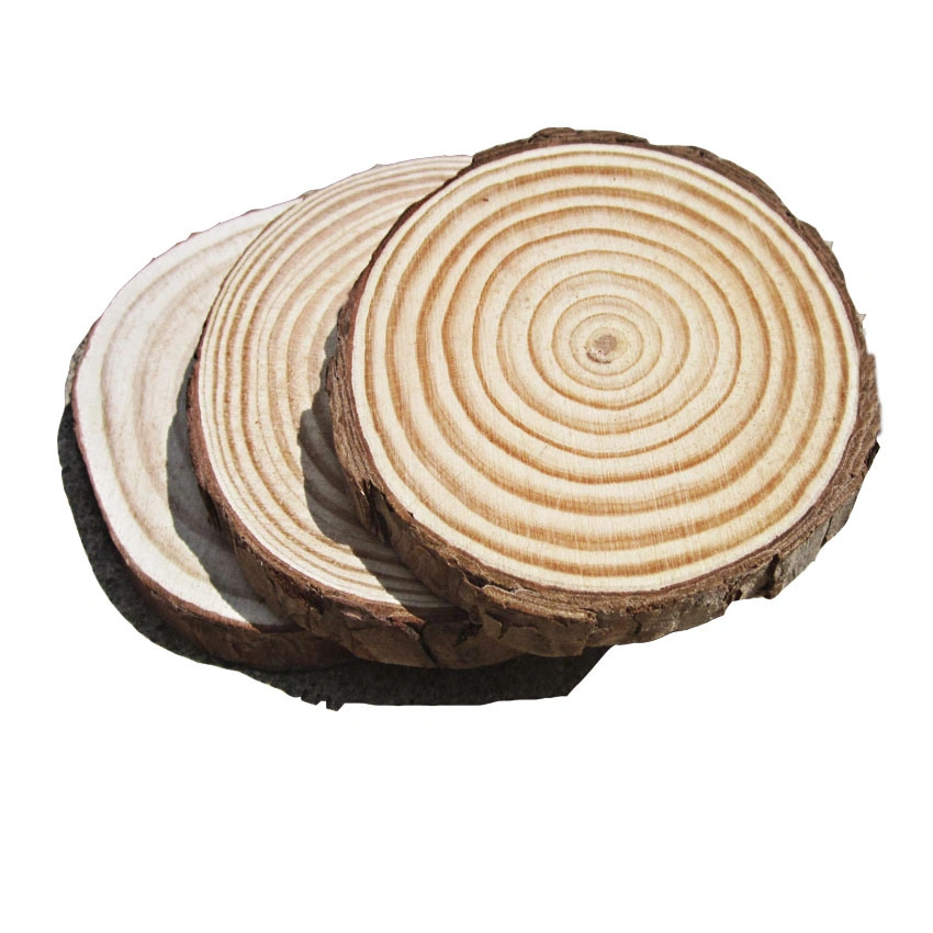 Natural Pine Wood Slices with Bark 10 Inch Wood Slices