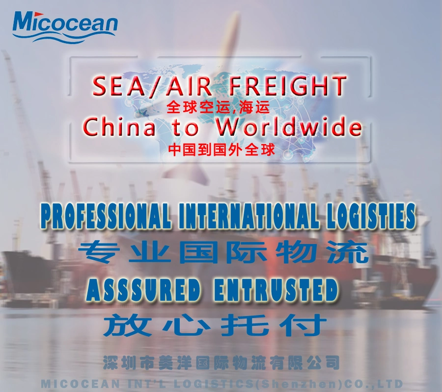 Professional International Logisties Sea Shipping / Air Freight da China para o mundo inteiro