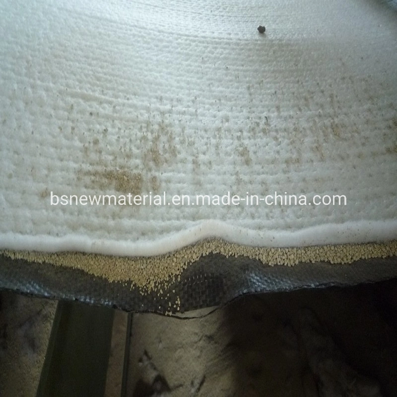 Bentonite Waterproofing Blanket Mat Geocomposite/Geosynthetic Clay Liner Gcl