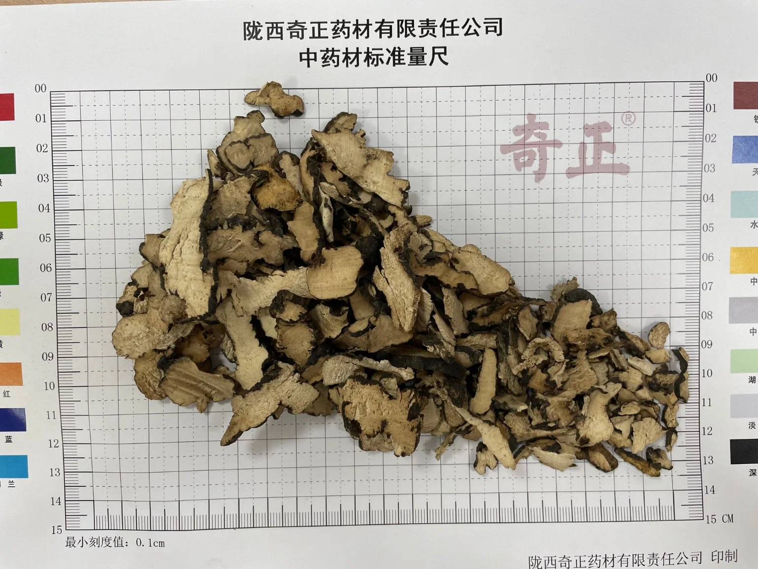 Zhu Ling séché naturel naturel sec Herbe Polyporus umbellatus entier Pièce