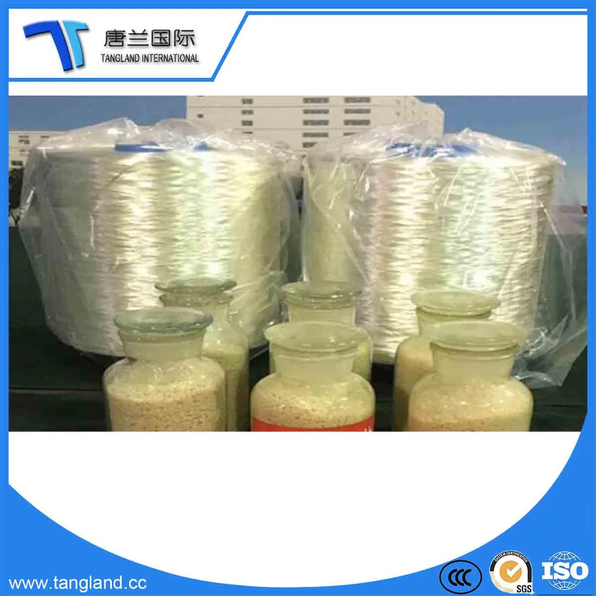 PA6/Polyamide Nylon6 Industrial UV Resistant Yarn/Silk