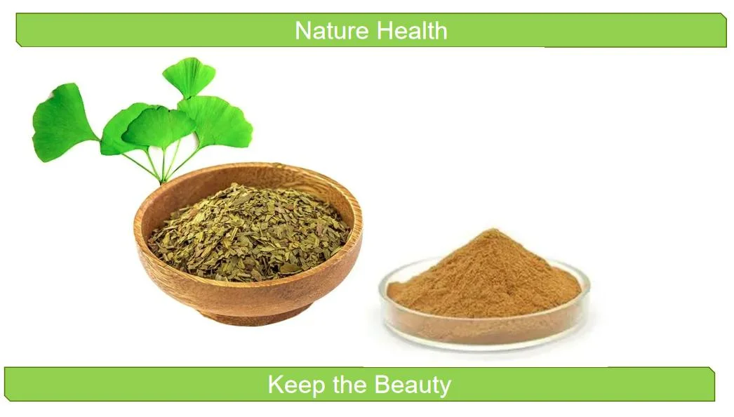 E. K preço de fábrica de ervas com qualidade superior 100% extrato vegetal natural ingredientes cosméticos Extrato de Ginkgo Biloba em pó para cuidados de beleza