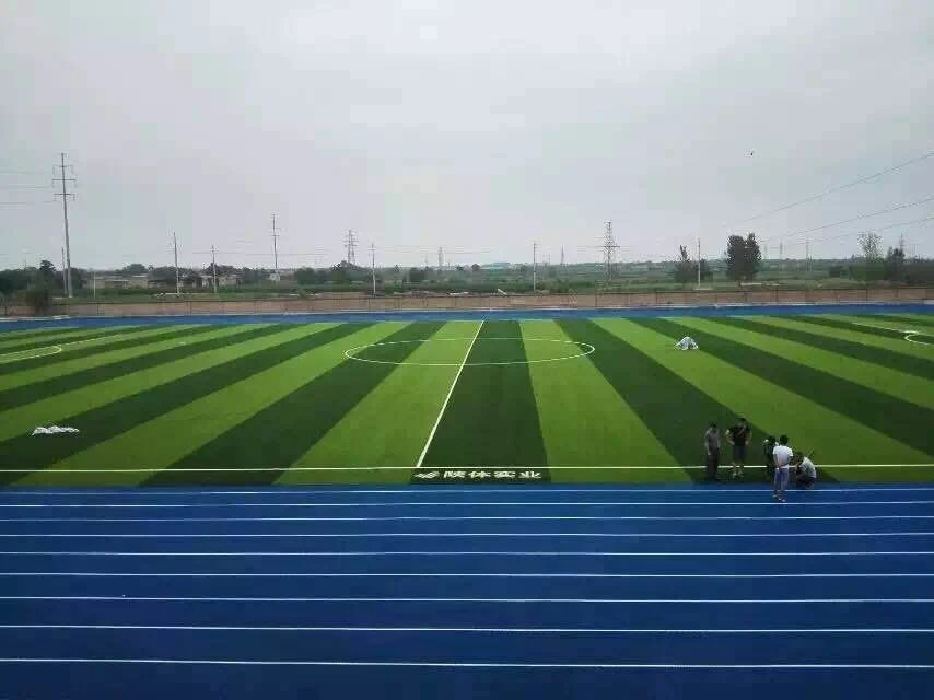 High quality/High cost performance  Rubber Running Track Material EPDM Rubber Granules