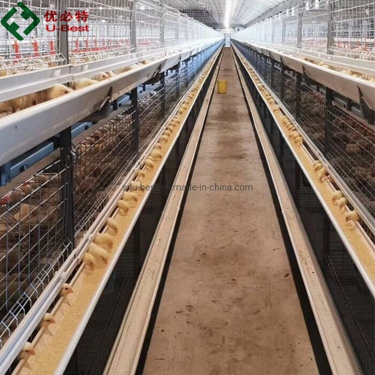 Complete Poultry Layer Cage System for Chicken House Building