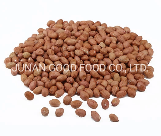 High Quality Hot Sale Factory Price Java Peanut Kernel