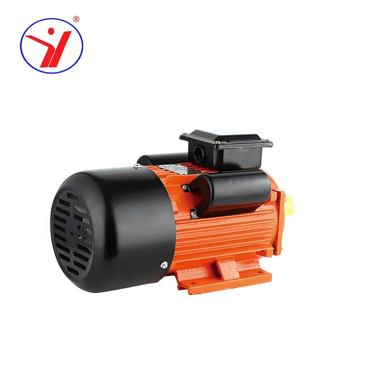 Single Phase Three Phase 100W to 3700W Electric Small AC Induction Motor