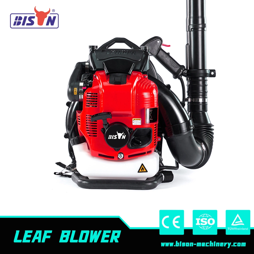 Bison 63cc Knapsack Gasoline Powered Backpack Leaf Blower, Petrol Snow Blower