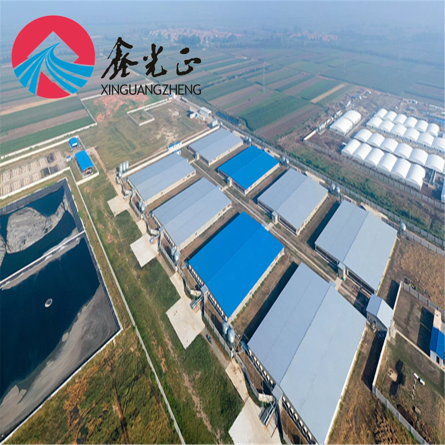 Automatic Closed System Steel Structure Broiler Layer Egg Chicken Farm