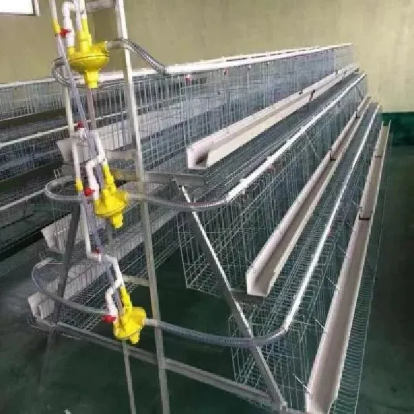 6 niveaux de la couche d'oeufs de poulet pour la Tanzanie des cages en batterie ferme avicole