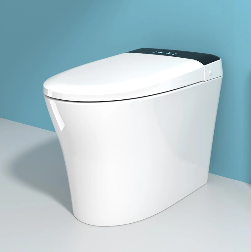 Modern Ceramic One Piece Toilet Bathroom Smart Toilet Set