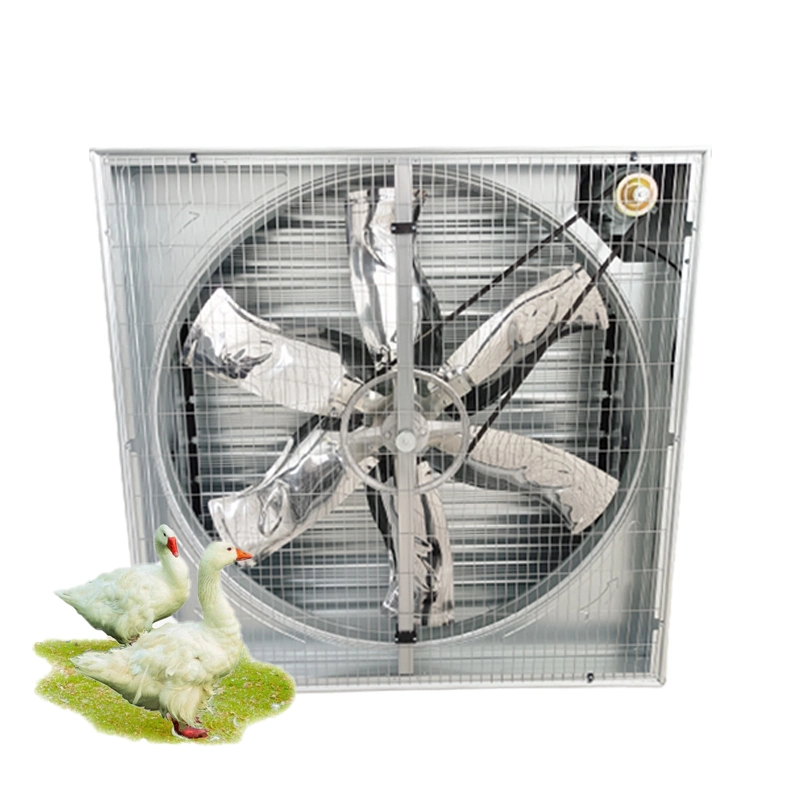 Ventilateur de refroidissement industriel pour poulailler à œufs de serre avec ventilation et extraction d'air CE.