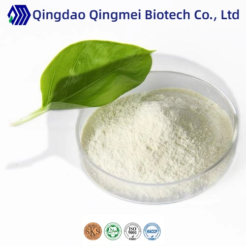 OEM Factory Supply Dietry Food Multi-Vitamin Zinc Probiotics Powder