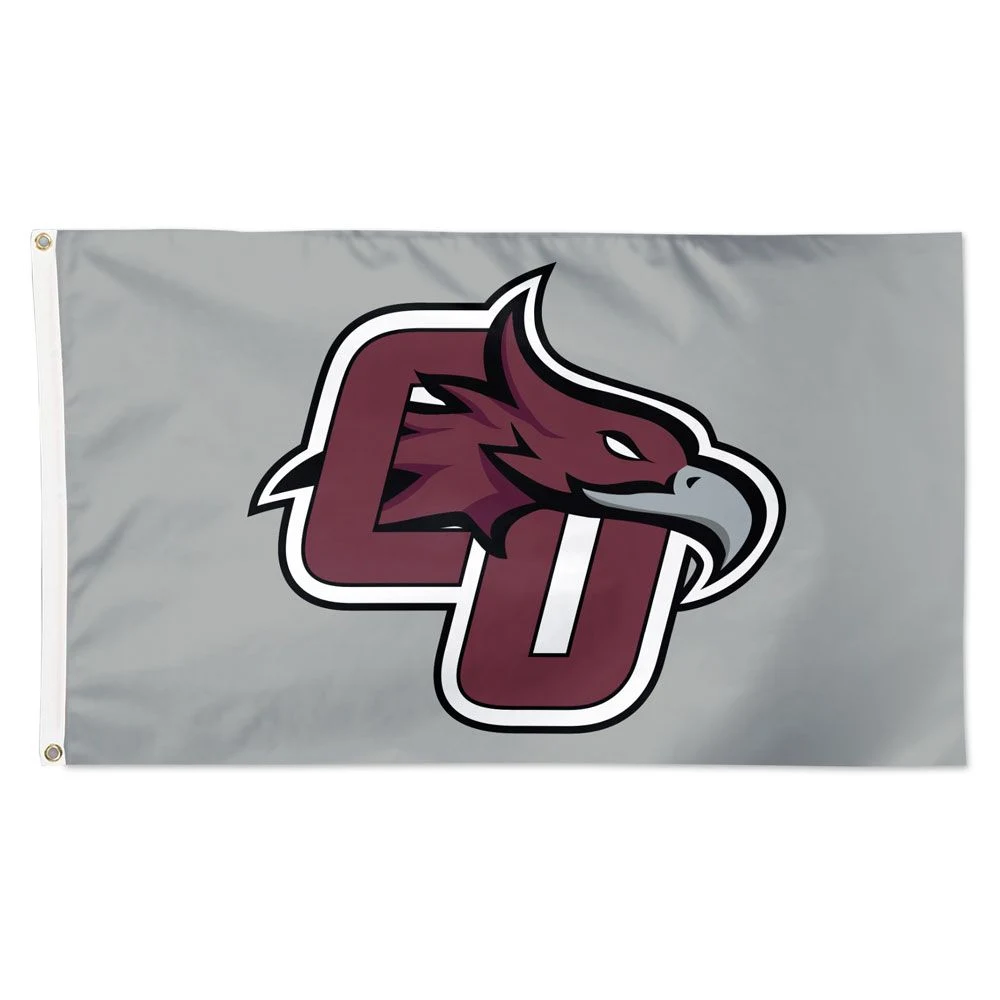 Cumberland University Phoenix drapeau de couleur alternatif équipe sportive drapeaux de bannière POUR NFL MLB NHL NBA