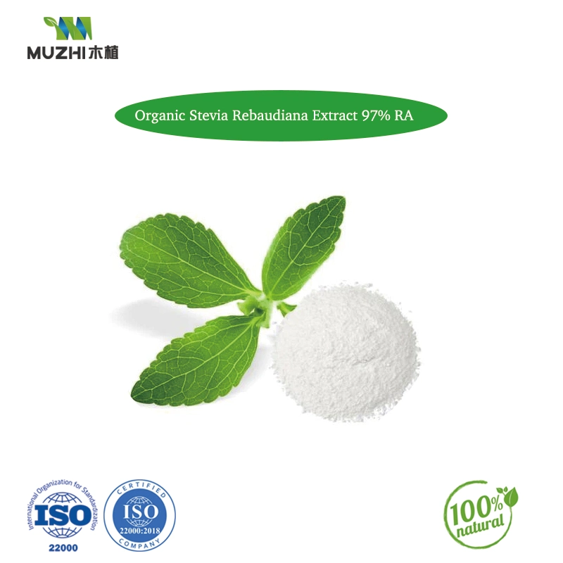 Organisches Wurzelpulver (standardisiert mit 5% Nitrat) Natürliches Kräuterpflanzenextrakt