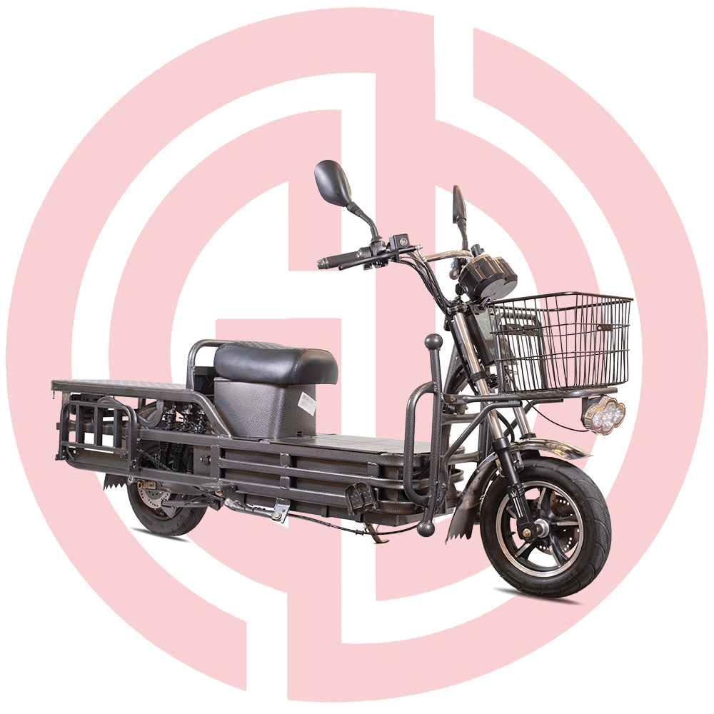 2 Wheel E Bike Electric Weight Bicycle Electric Cargo Scooter