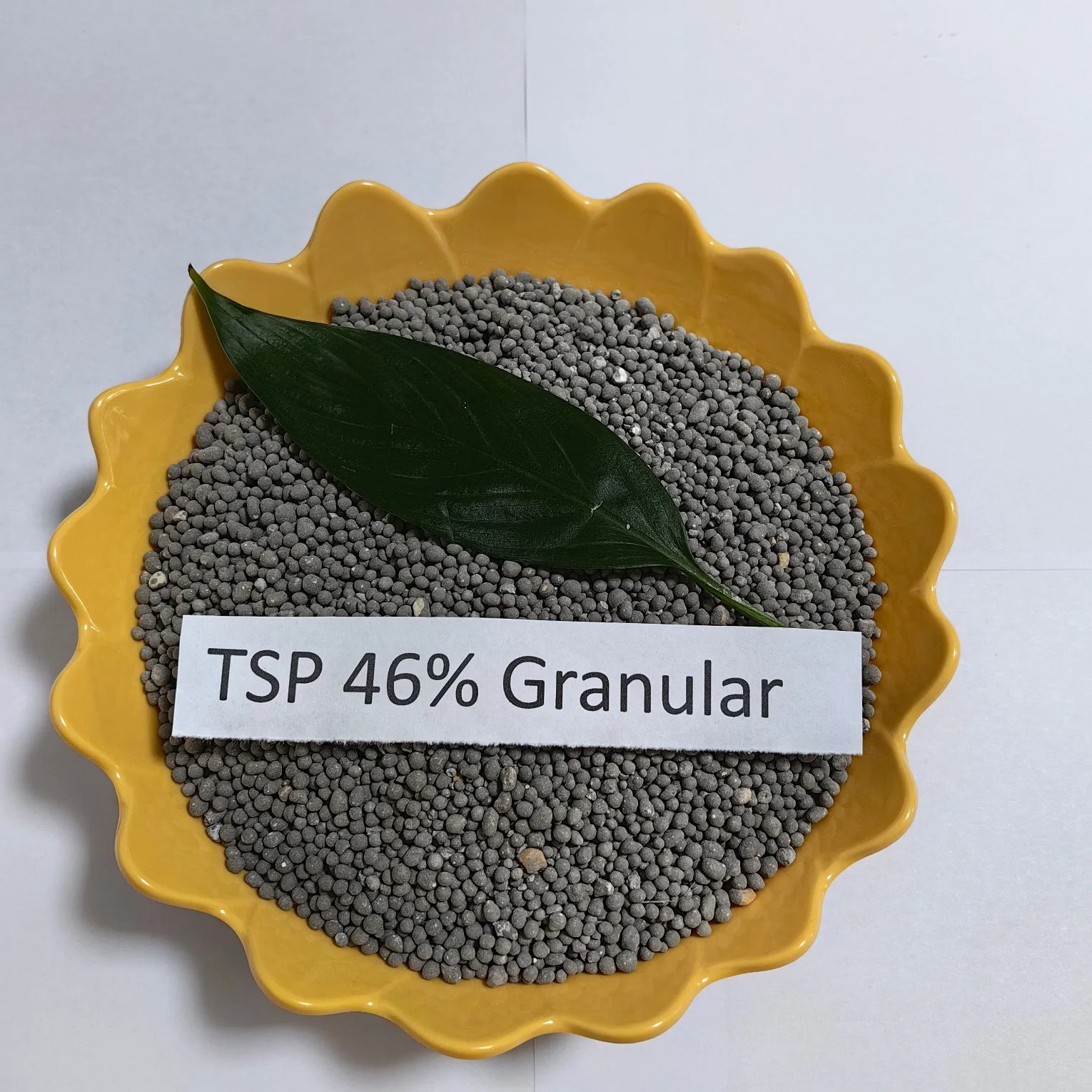 Tri-Natrium-Phosphat (TSP) Na3po4 12 (H2O) Produzent