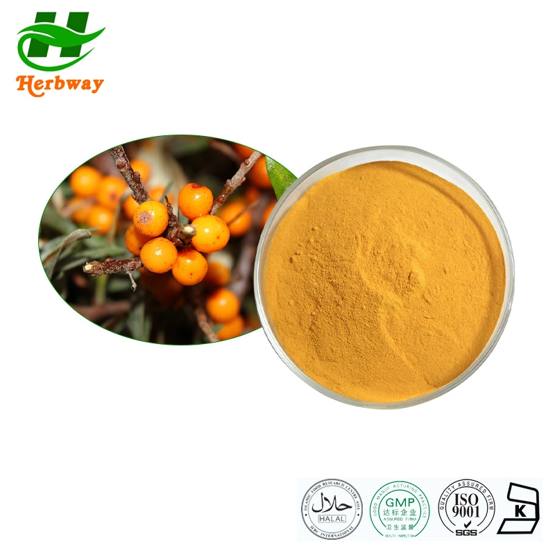 Botanical Plant Sea Buckthorn Fruit Extract Flavones Hippophae Rhamnoides Extract