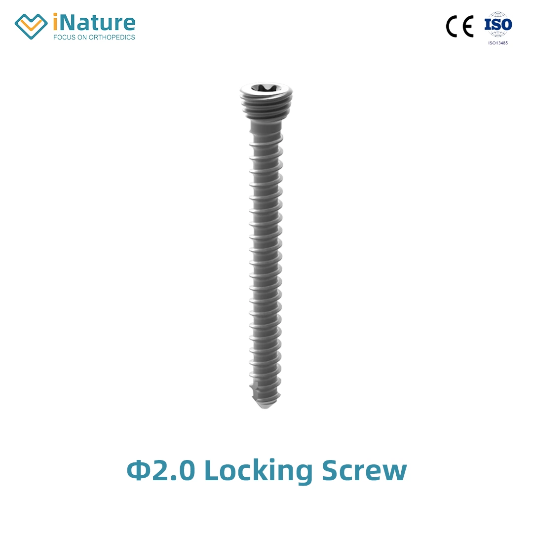 Top Quality Locking Screw Self-Tapping Orthopedic Screws