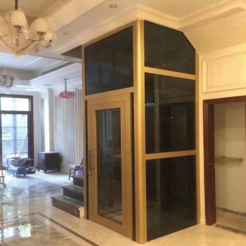 Low Price 300kg Hydraulic Type Passenger Elevator Home Lift