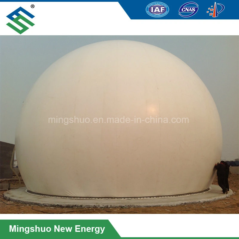 Biogas Storage Bag for Biofuels and Other Gases