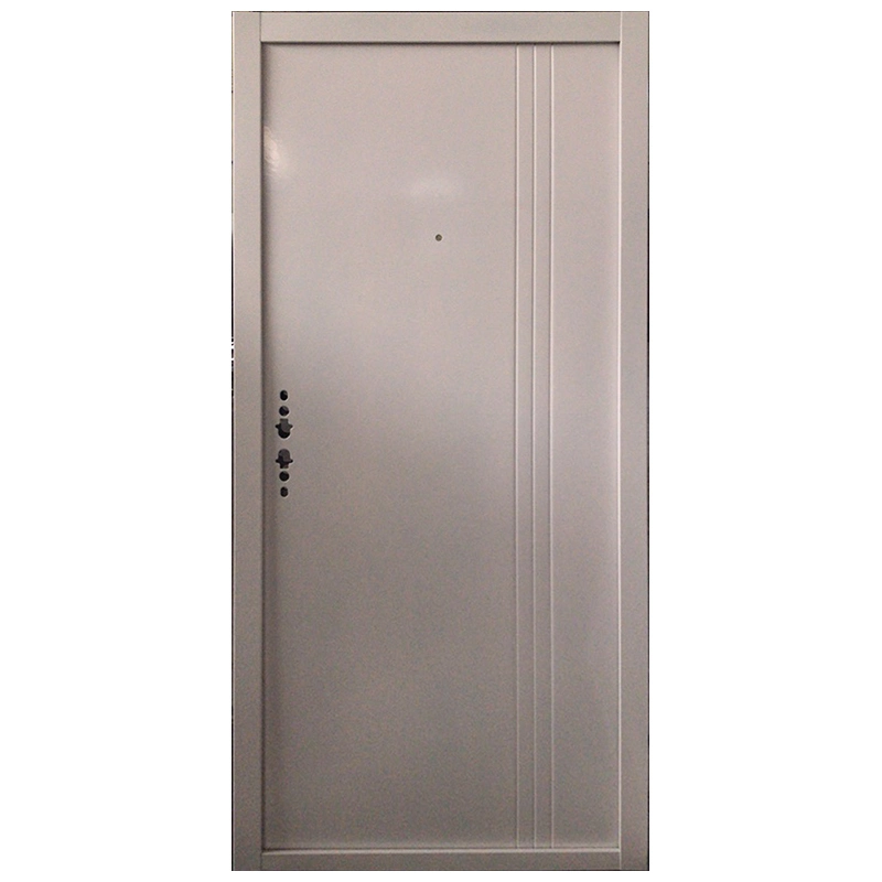 New Entry Iron Security Entrance Door Interior Steel Gate for South America