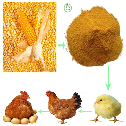 Protein Powder Animal Feed High Protein Corn Gluten Meal