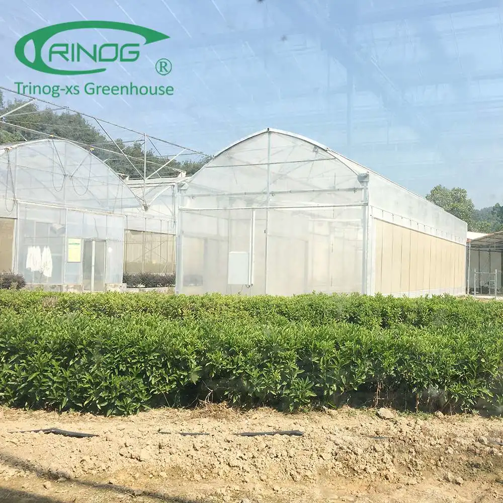 5-layer poly film green house for large farm